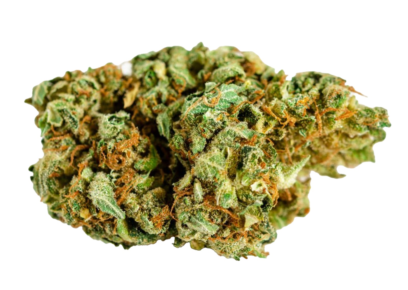 CBD Buds - Girl Scout Cookies