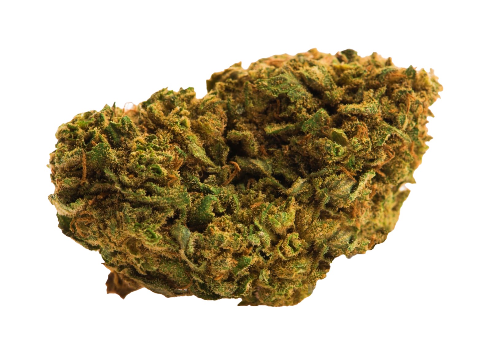 CBD Buds - Amnesia Haze