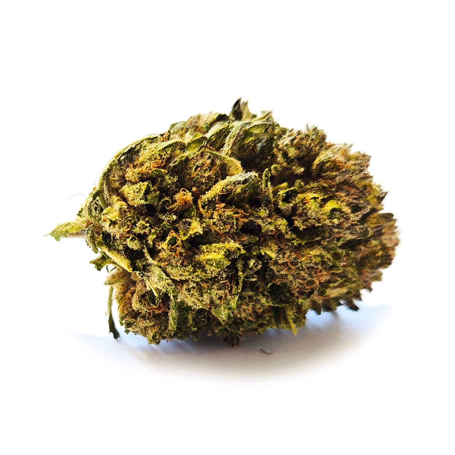 CBD Buds - Kush Kush